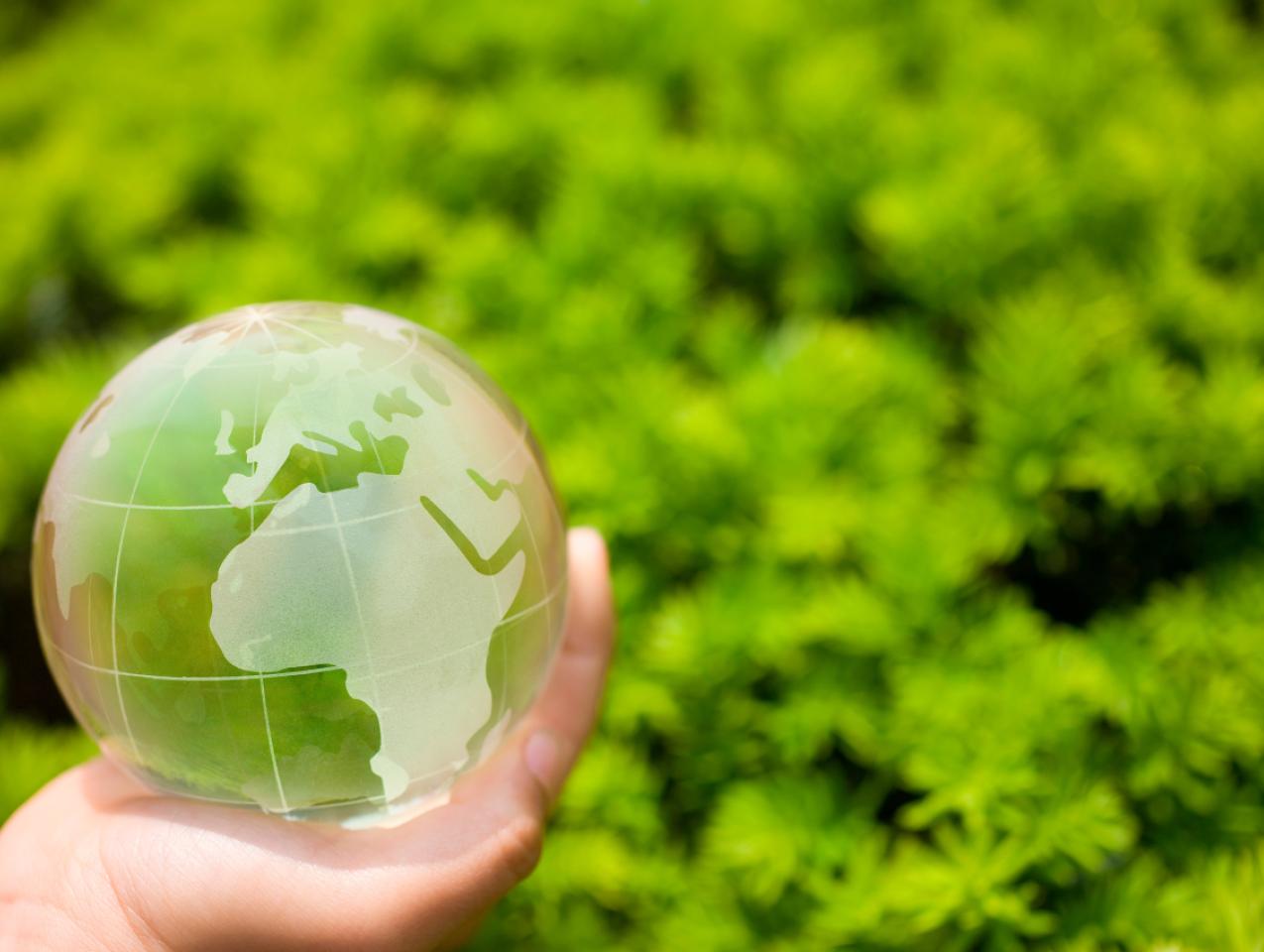 Image for Conservative Environmentalism 