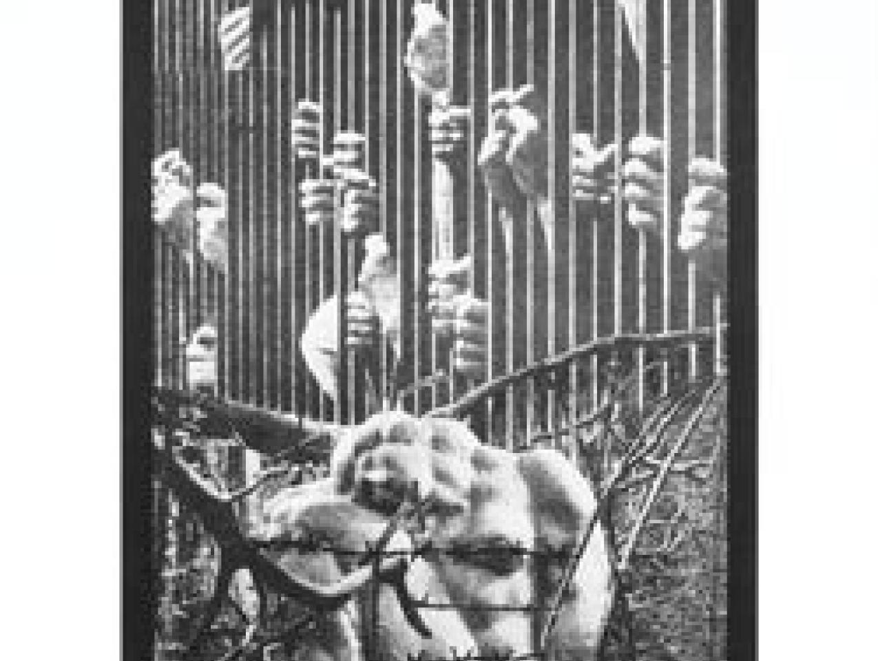 Image for Revolutionary Eye