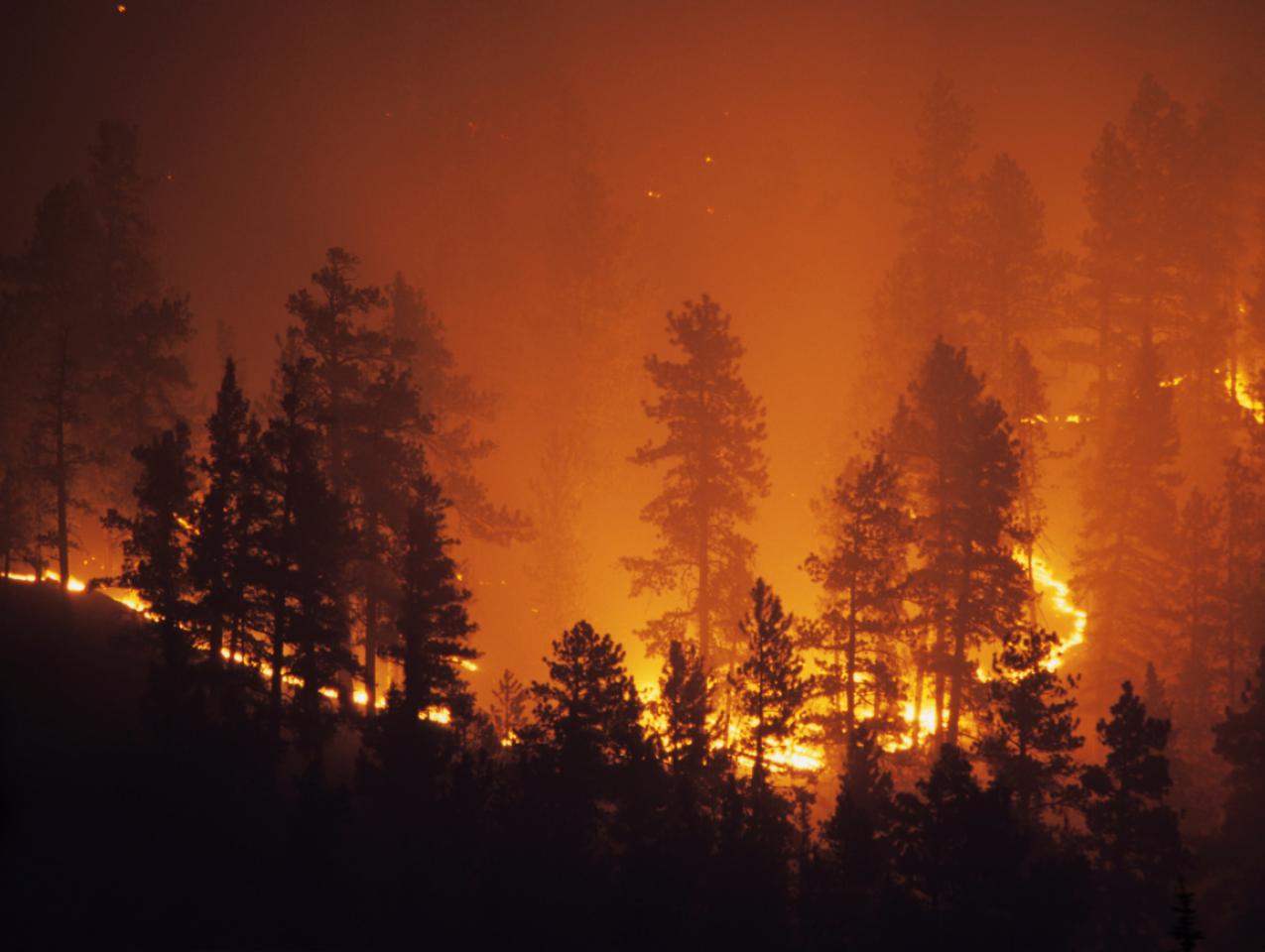 Image for California Wildfires - Crisis to Opportunity  Exploring the intersection of risks, incentives, and consequences 