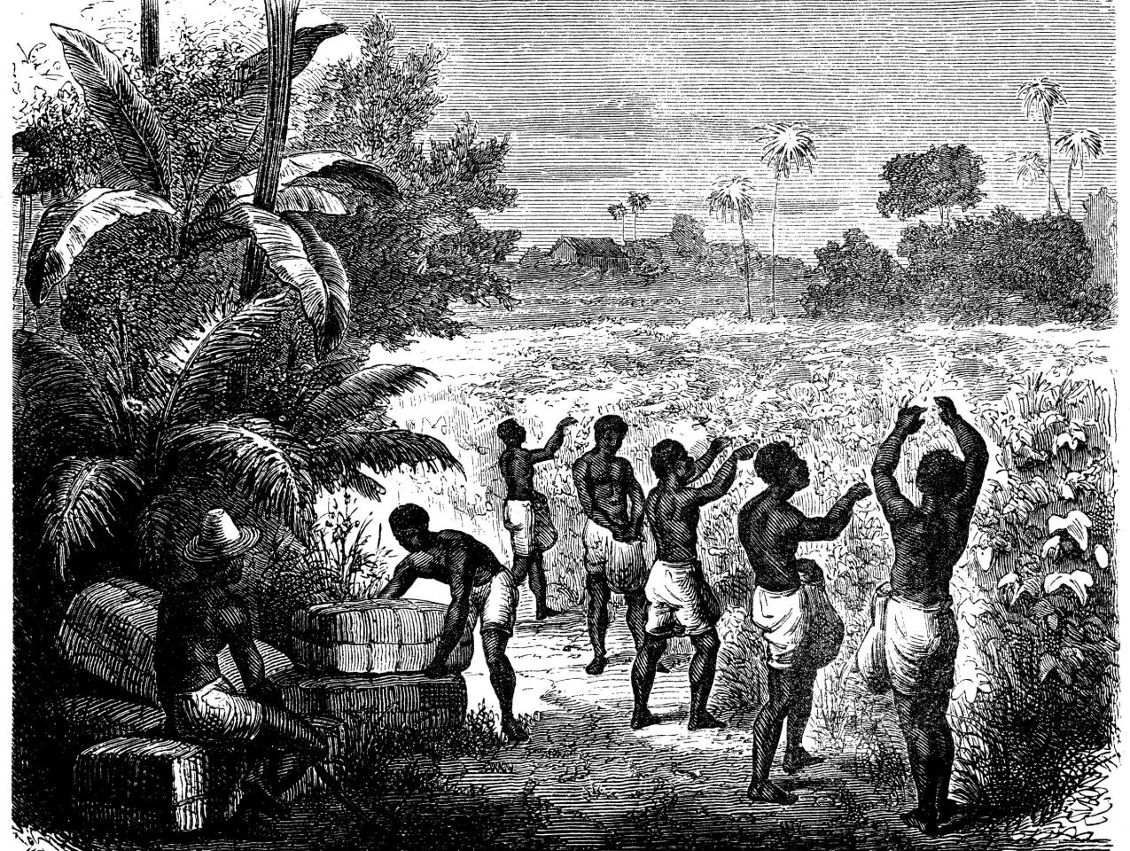 Image for Slave Prices in New York and New Jersey
