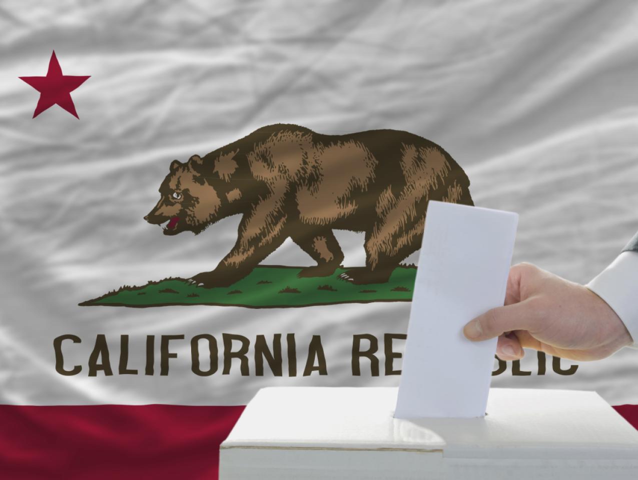 california elections  image