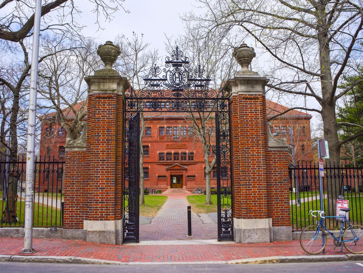 harvard   image