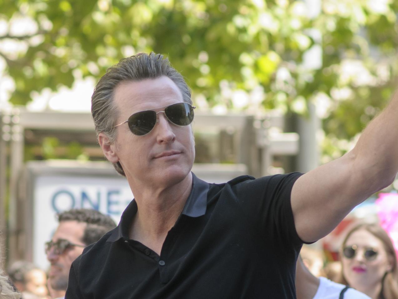 Gavin Newsom    image