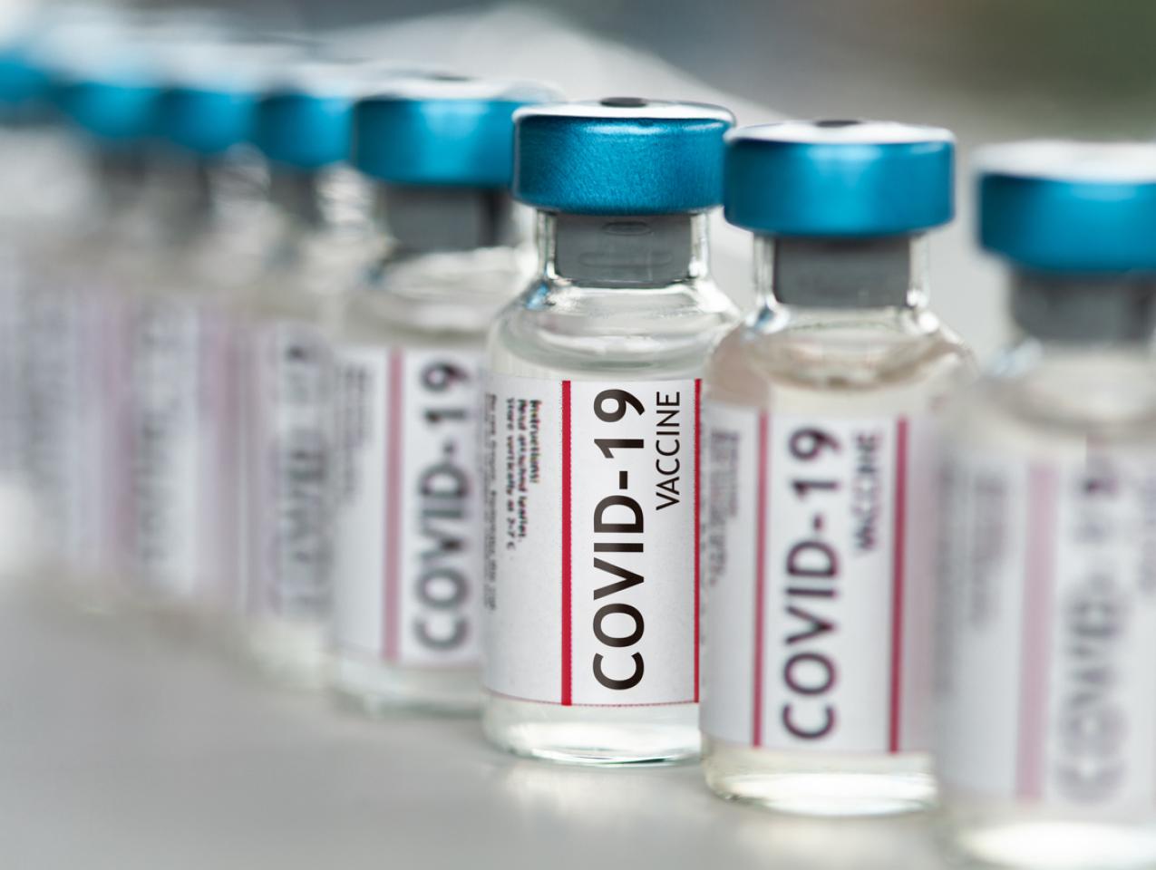 vaccine   image