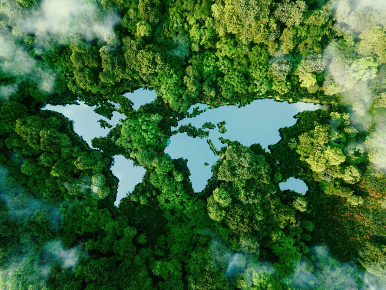 climateworld   image