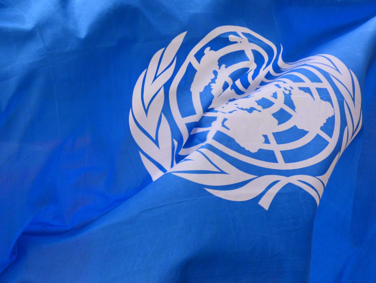 unitednations   image