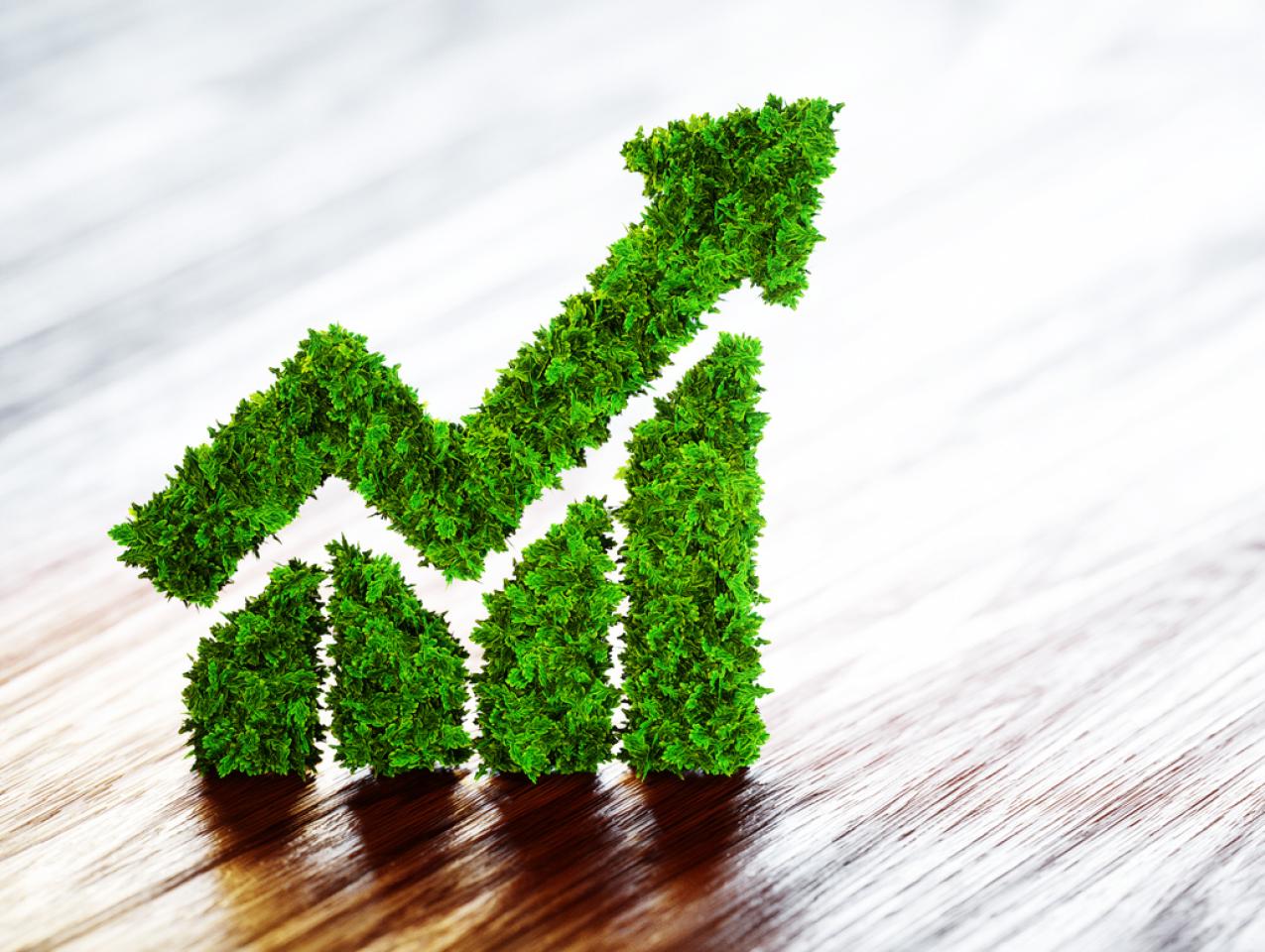 Environmental   image