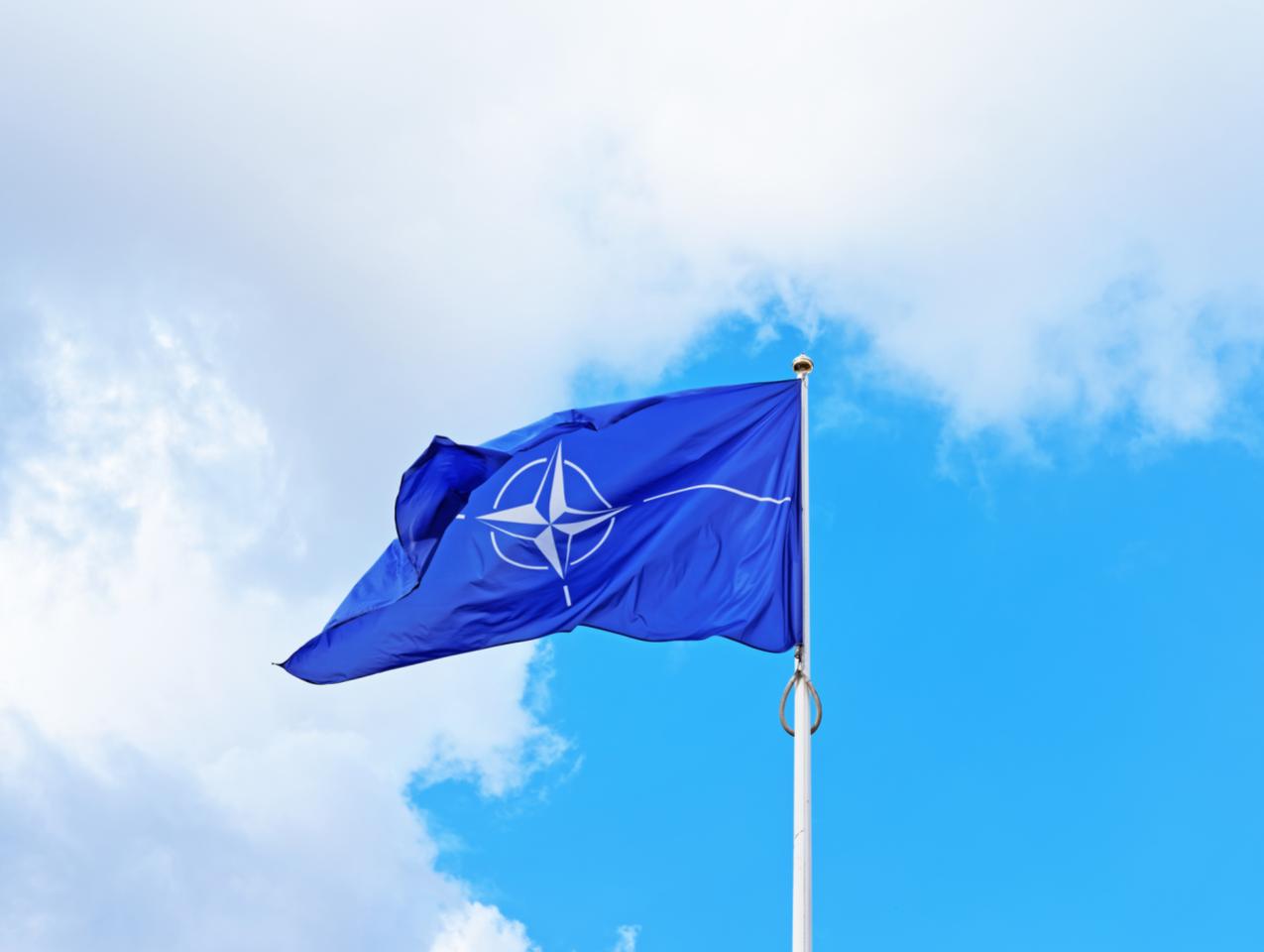 nato   image