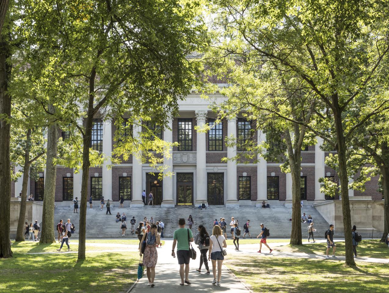college   image