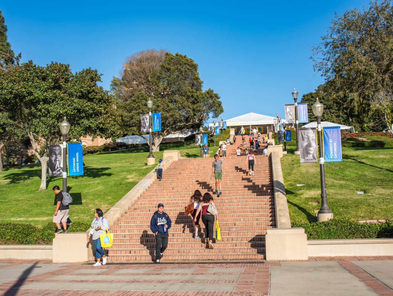 collegeucla   image