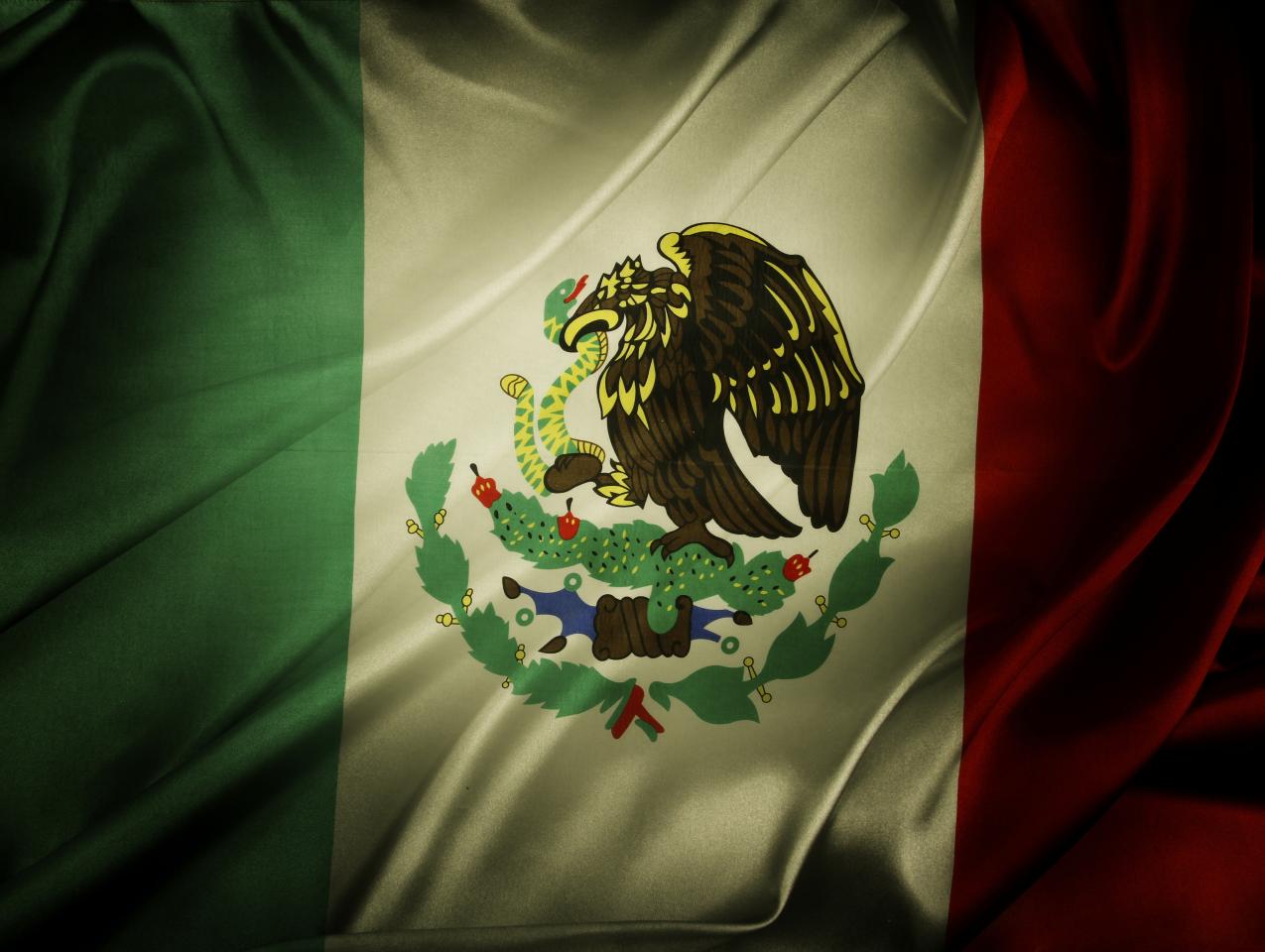 Mexican Flag