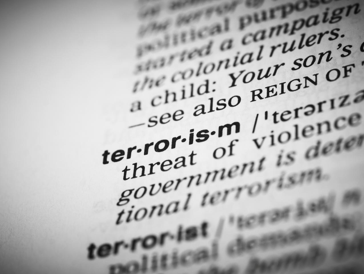 terror   large image