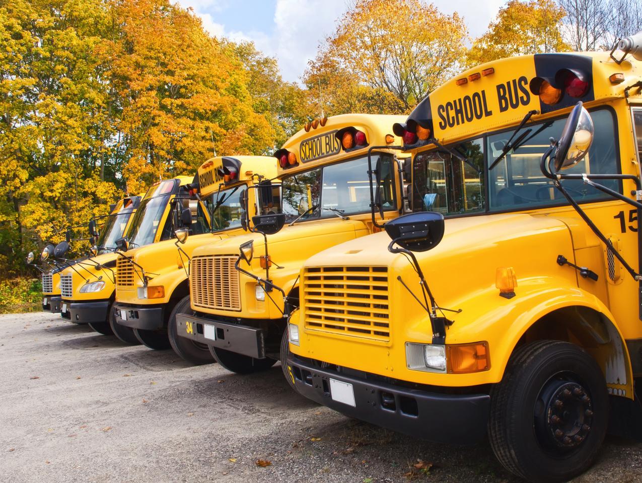 School Buses