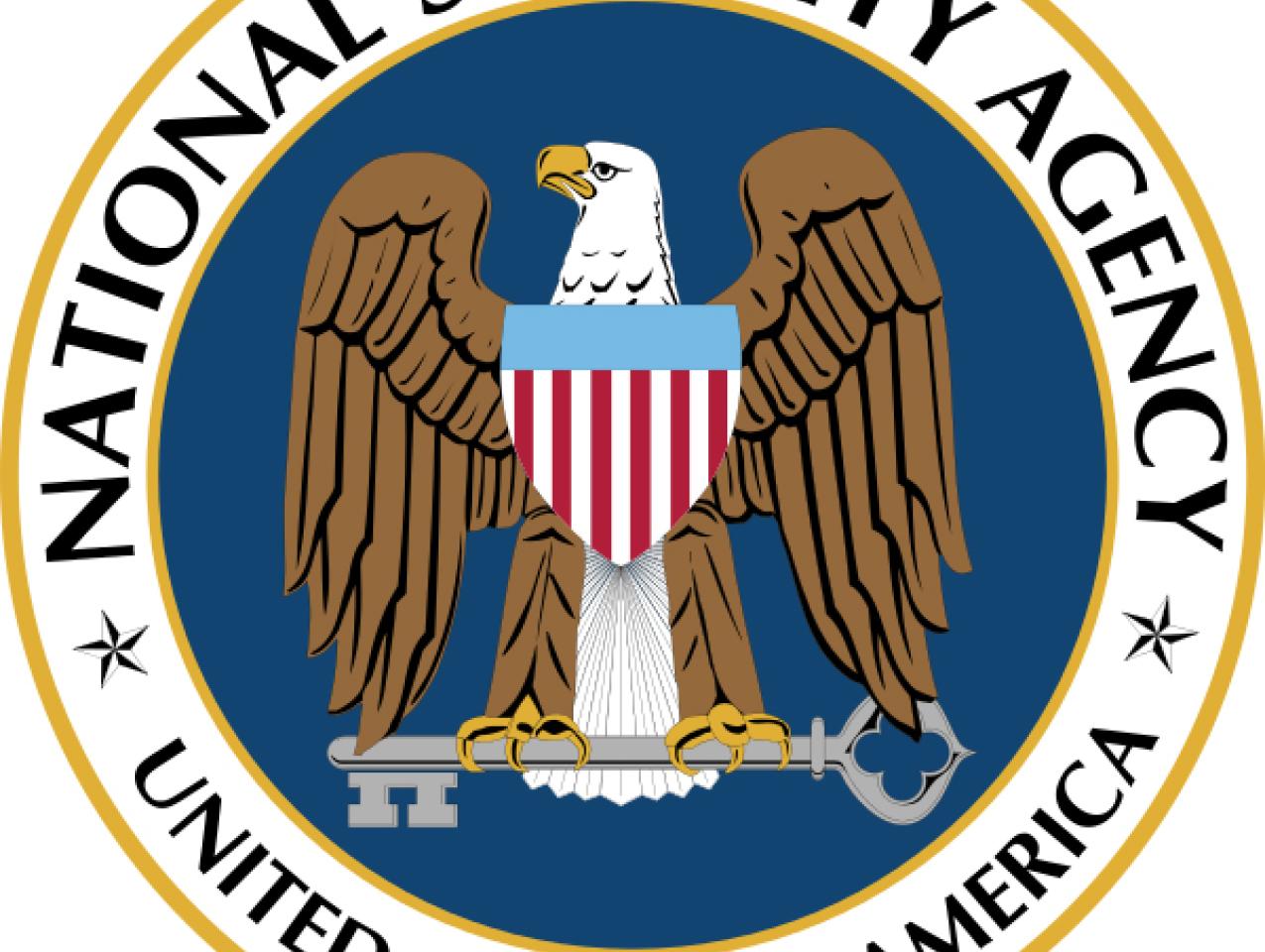 Privacy, Security, and the National Security Agency (NSA)