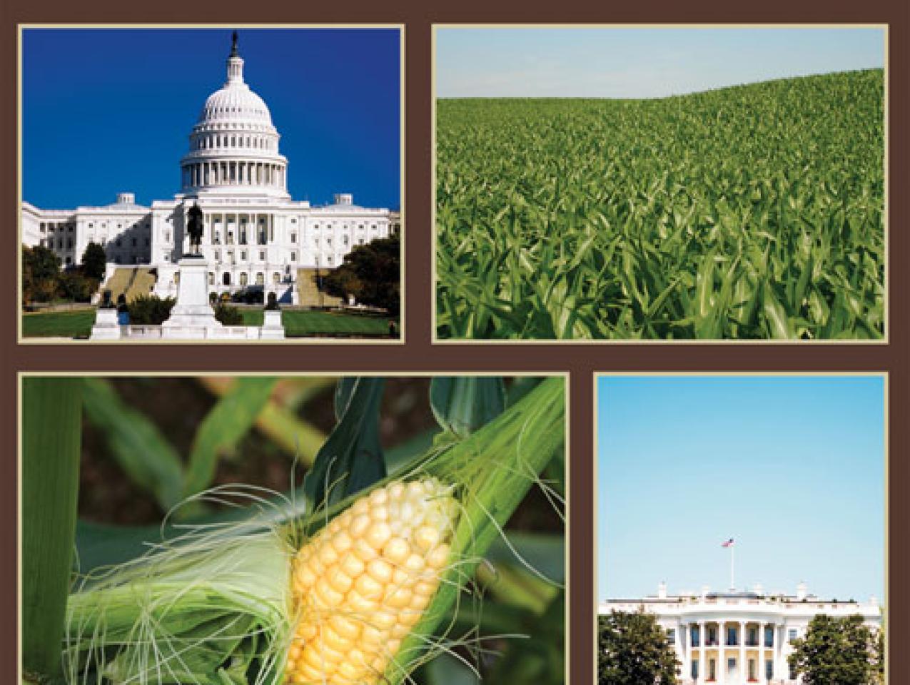 Corn Ethanol Who Pays? Who Benefits? Hoover Institution Corn Ethanol