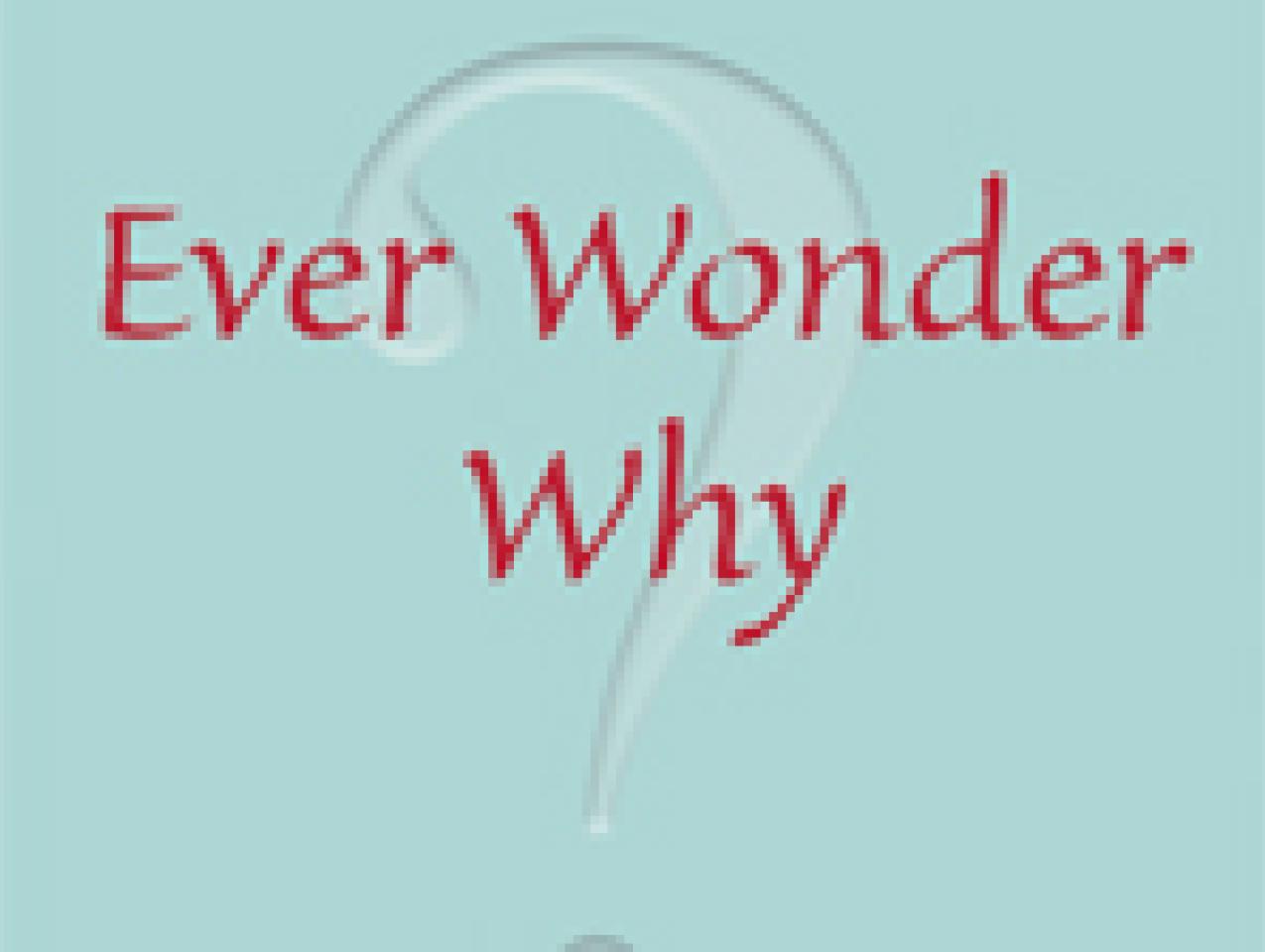 Ever Wonder Why? And Other Controversial Essays