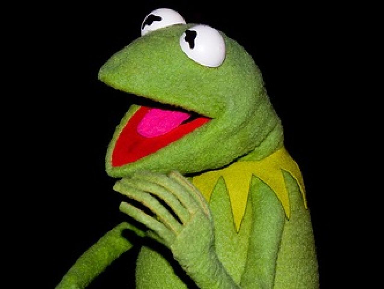 kermit the frog driving face