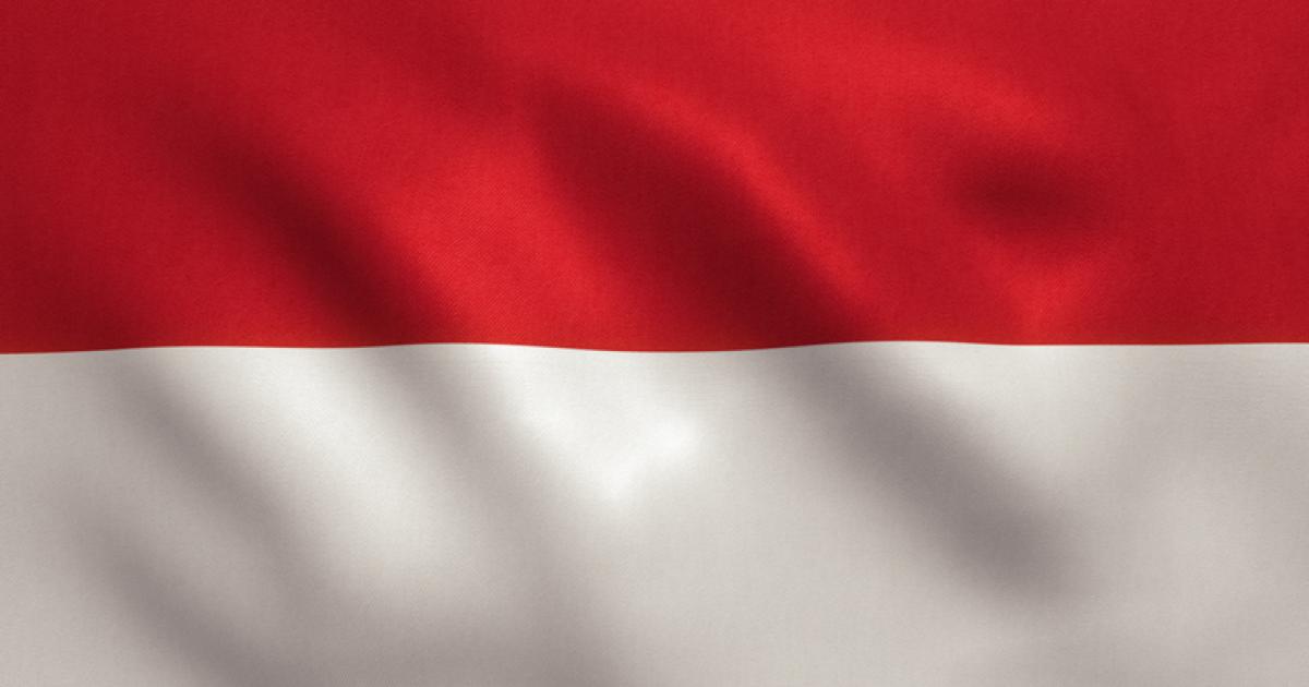 Indonesian Flag