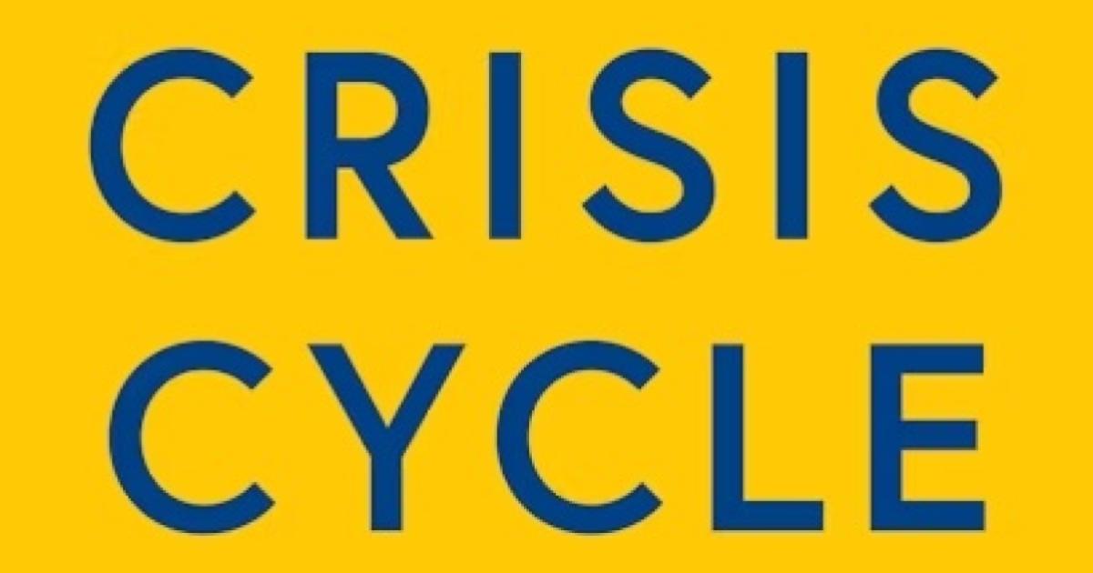 Crisis Cycle: Challenges, Evolution, and Future of the Euro