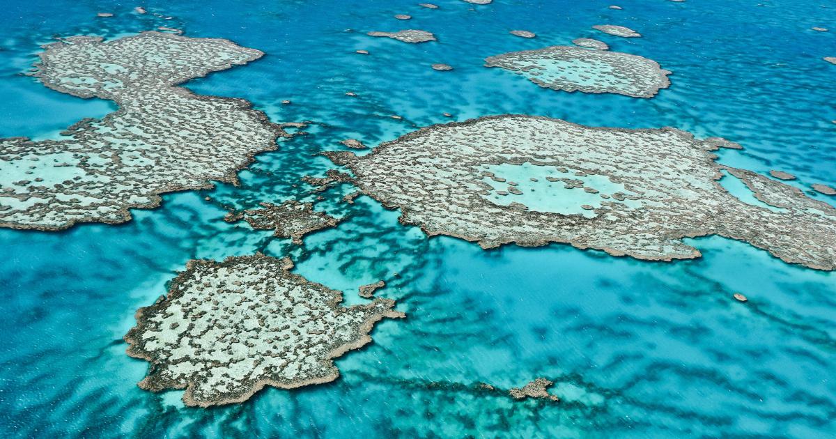 Great barrier reef australia
