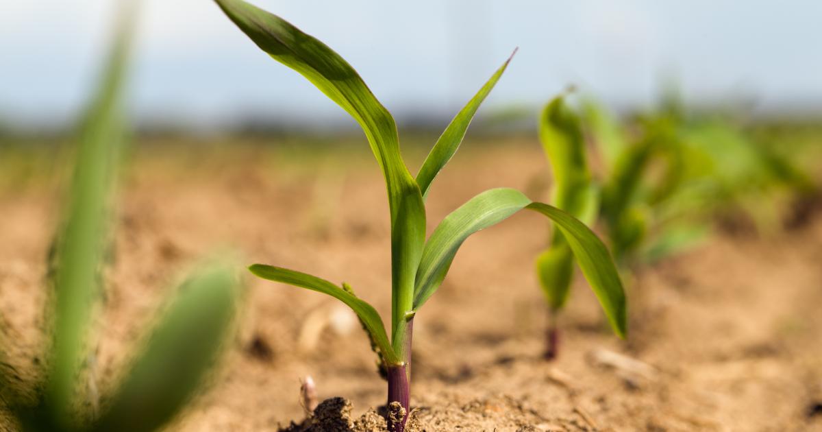 farming shutterstock  image