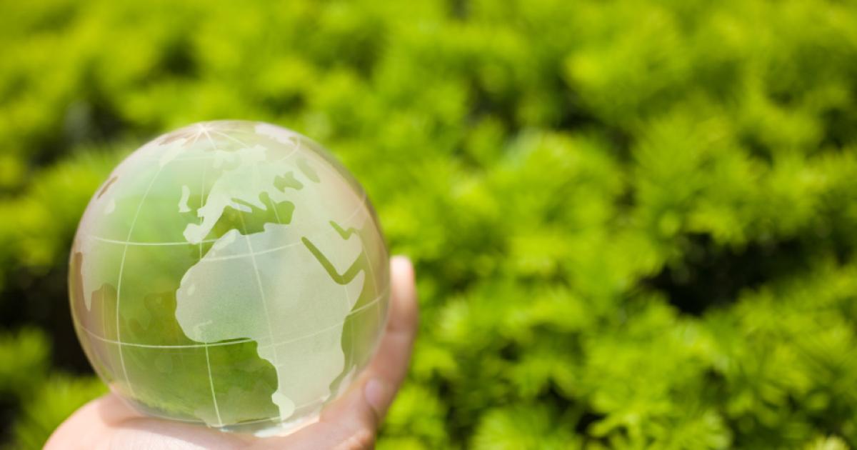 greenworld  image