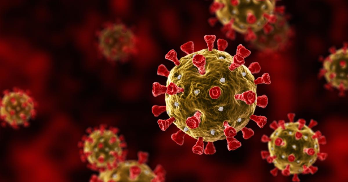 coronavirus   image