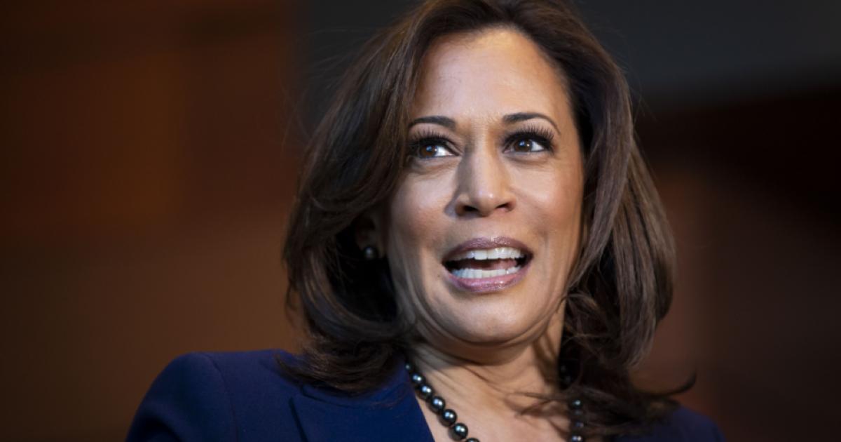 kamalaharrisgettyimages  image