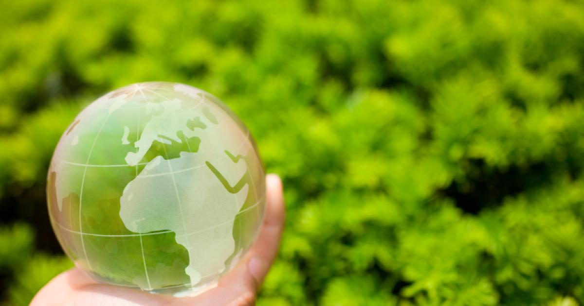 Image for Conservative Environmentalism 