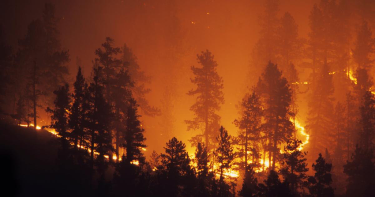 Image for California Wildfires - Crisis to Opportunity  Exploring the intersection of risks, incentives, and consequences 