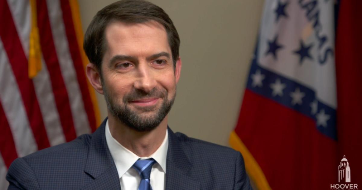 Tom cotton family image