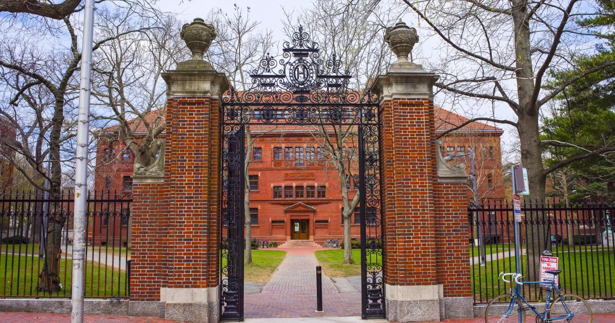 harvard   image
