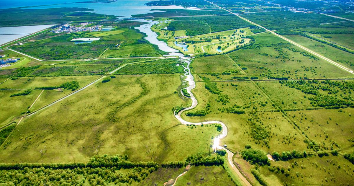 land   image