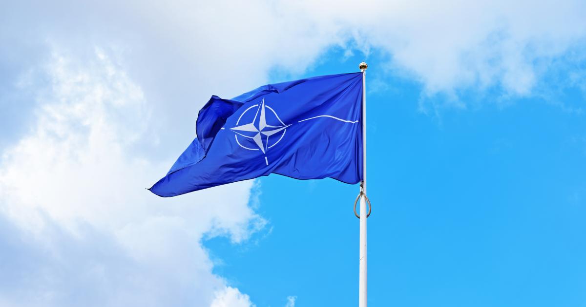 nato   image