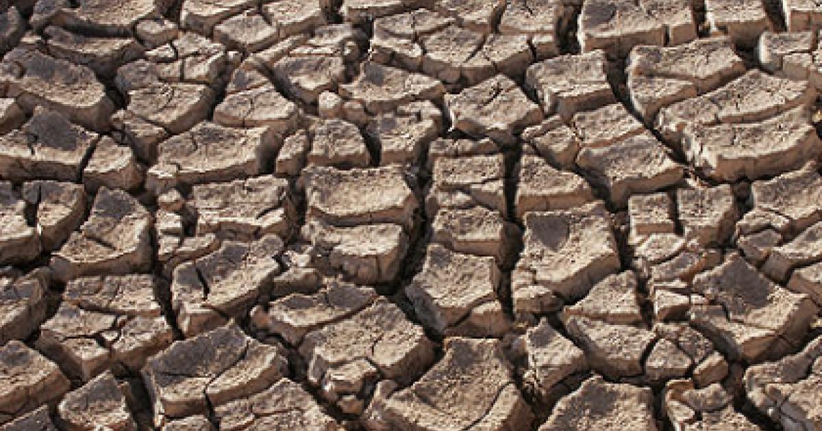 Dry ground in the Sonoran Desert, Sonora,Mexico