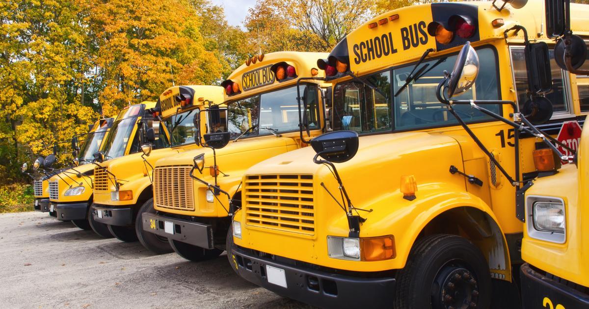 School Buses