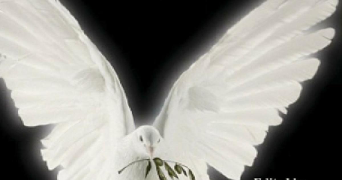 Deterrence: Its Past and Future