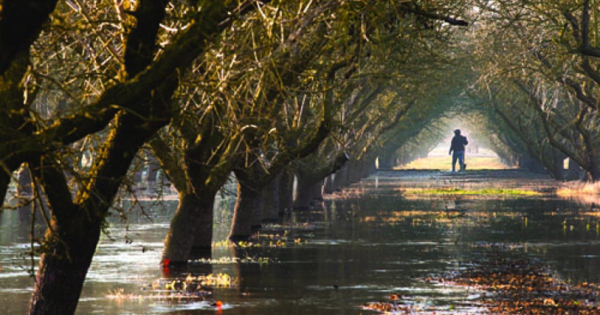 flood near Modesto in January 2012