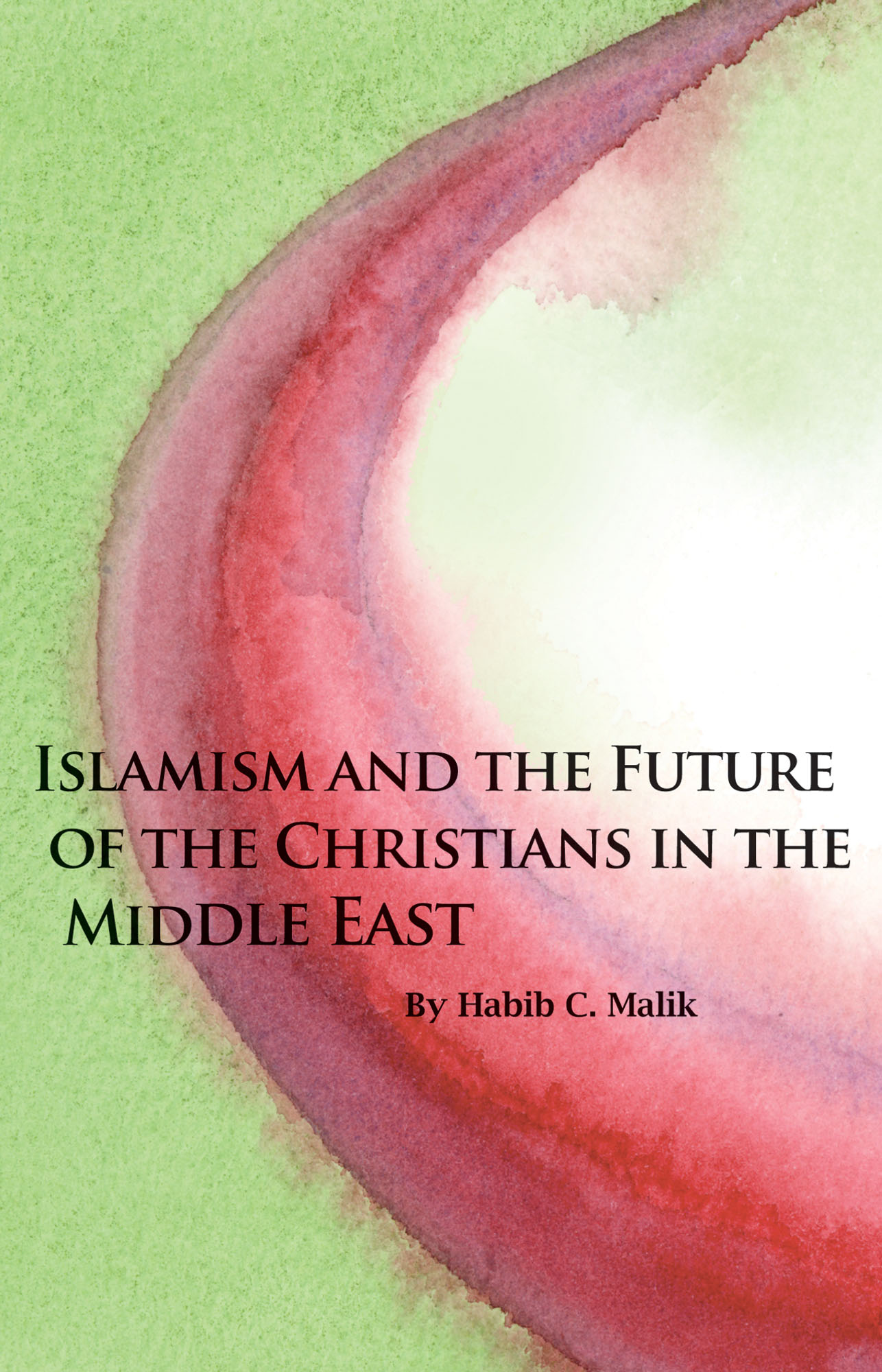 cover image for Islamism and the Future of the Christians in the Middle East