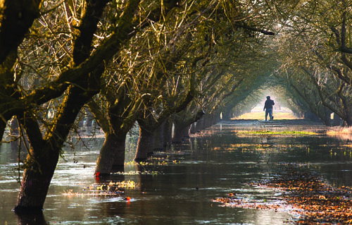 flood near Modesto in January 2012