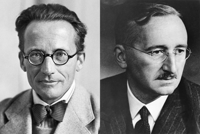 Schrödinger and Hayek