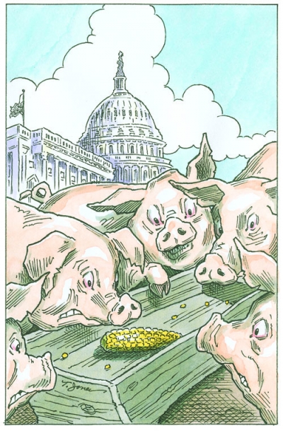 pigs